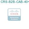 CRS-B2B-CAB-40= подробнее