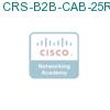 CRS-B2B-CAB-25R= подробнее