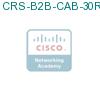 CRS-B2B-CAB-30R= подробнее