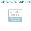 CRS-B2B-CAB-100R= подробнее