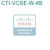 CTI-VCSE-W-K9 подробнее