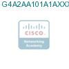 G4A2AA101A1AXXXAXX подробнее