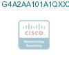 G4A2AA101A1QXXXAXX подробнее
