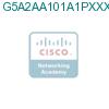 G5A2AA101A1PXXXAXX подробнее