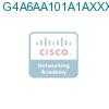 G4A6AA101A1AXXXA2X подробнее