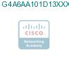 G4A6AA101D13XXXAXX подробнее
