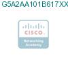 G5A2AA101B617XXAXX подробнее