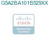 G5A2BA101B529XXBXX подробнее