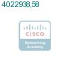 4022938,58 подробнее