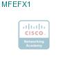 MFEFX1 подробнее
