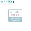 MFEBX1 подробнее
