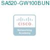 SA520-GW100BUN3-K9 подробнее