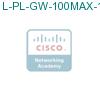 L-PL-GW-100MAX-1= подробнее