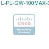 L-PL-GW-100MAX-3= подробнее