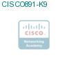 CISCO891-K9 подробнее