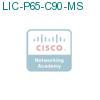 LIC-P65-C90-MS подробнее
