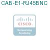 CAB-E1-RJ45BNC подробнее
