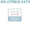 WS-C3750V2-24TS-S подробнее