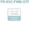 FR-SVC-FWM-GTP подробнее