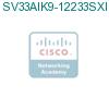 SV33AIK9-12233SXI подробнее