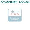 SV33AIK9M-12233SXI подробнее