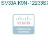 SV33AIK9N-12233SXI подробнее