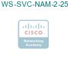 WS-SVC-NAM-2-250S подробнее