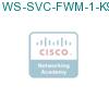 WS-SVC-FWM-1-K9 подробнее