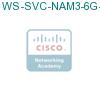 WS-SVC-NAM3-6G-K9= подробнее