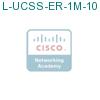 L-UCSS-ER-1M-10 подробнее