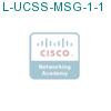 L-UCSS-MSG-1-1 подробнее