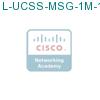 L-UCSS-MSG-1M-1 подробнее