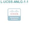 L-UCSS-ANLG-1-1 подробнее