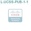 L-UCSS-PUB-1-1 подробнее