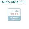 UCSS-ANLG-1-1 подробнее