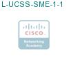 L-UCSS-SME-1-1 подробнее