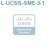 L-UCSS-SME-3-1 подробнее