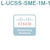 L-UCSS-SME-1M-1 подробнее