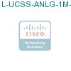 L-UCSS-ANLG-1M-1 подробнее
