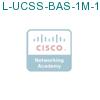 L-UCSS-BAS-1M-1 подробнее