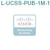 L-UCSS-PUB-1M-1 подробнее