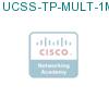 UCSS-TP-MULT-1M-1 подробнее