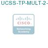 UCSS-TP-MULT-2-1 подробнее