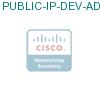 PUBLIC-IP-DEV-ADD подробнее