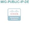 MIG-PUBLIC-IP-DEV подробнее