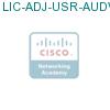 LIC-ADJ-USR-AUDVID подробнее