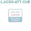 L-UCSS-ATT-CUB1-1 подробнее