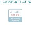 L-UCSS-ATT-CUB2-1 подробнее