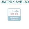 UNITY5.X-SVR-UG96 подробнее