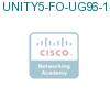 UNITY5-FO-UG96-144 подробнее